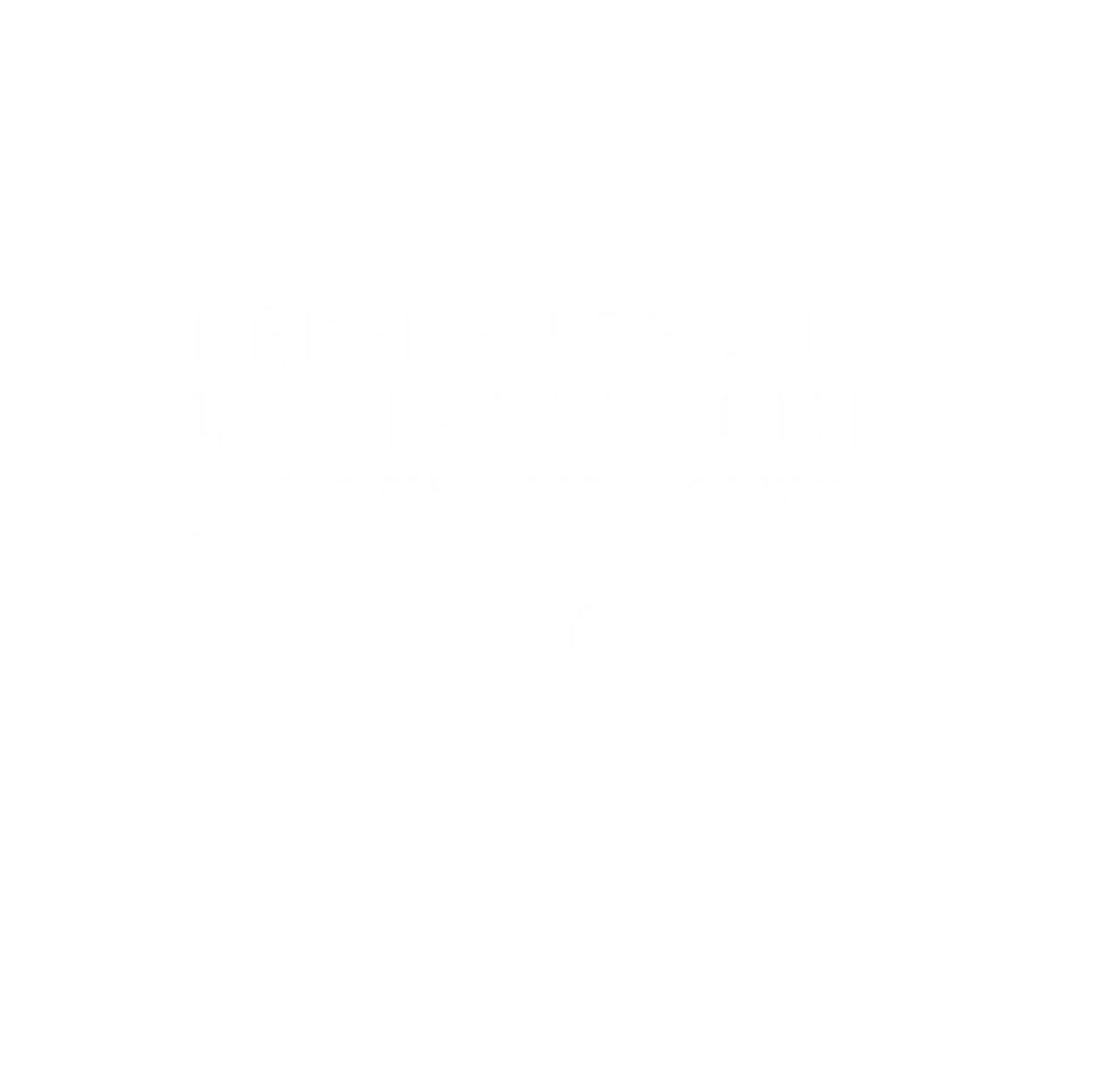 logo cybermalveillance.gouv.fr